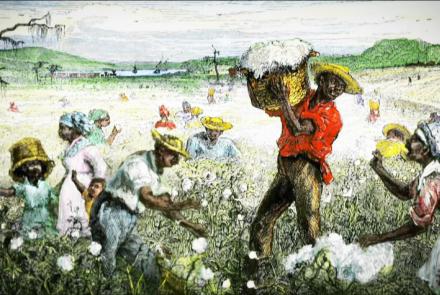 The Cotton Economy and Slavery: asset-mezzanine-16x9