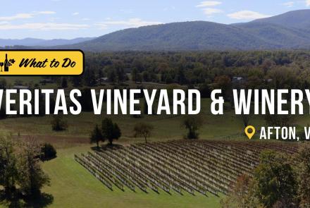 At Veritas Winery & Vineyard, Virginia Wine is Art & Science: asset-mezzanine-16x9