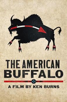 The American Buffalo: show-poster2x3
