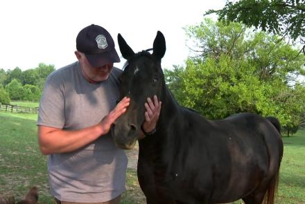 How a former police officer found direction rescuing horses: asset-mezzanine-16x9