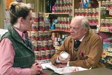 Still Open All Hours: TVSS: Iconic