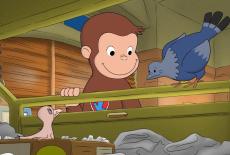 Curious George: George and the Rain; George's Pigeon Predicament: TVSS: Iconic