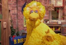 Sesame Street: Big Bird's Happy to Be Me Club: TVSS: Iconic